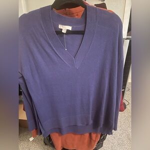 Chelsea28 Plum V-Neck Soft Sweater